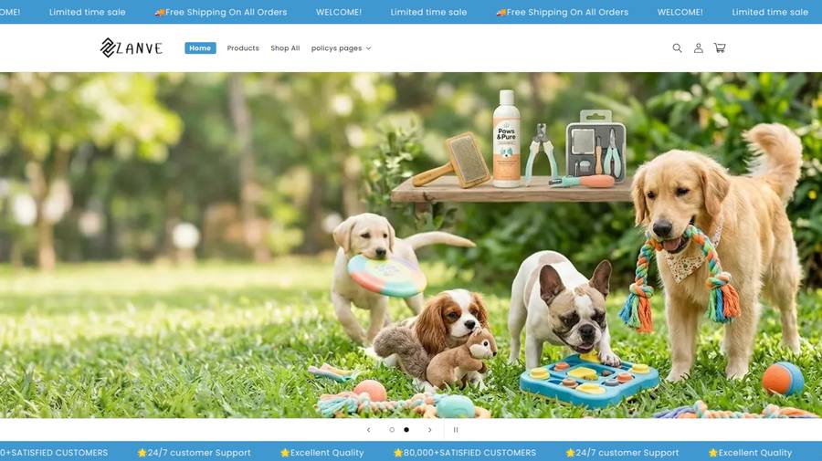 Zanve homepage